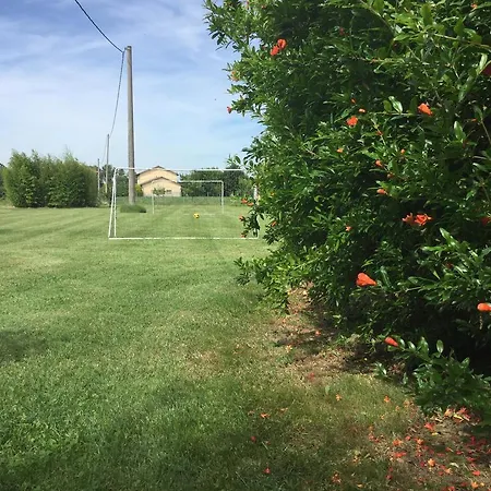 Vigorso 41 Séjour à la campagne *