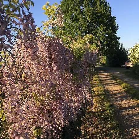 Country house Vigorso 41