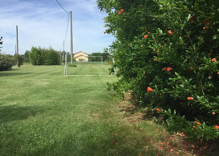 Vigorso 41 Gospodarstwo wiejskie *