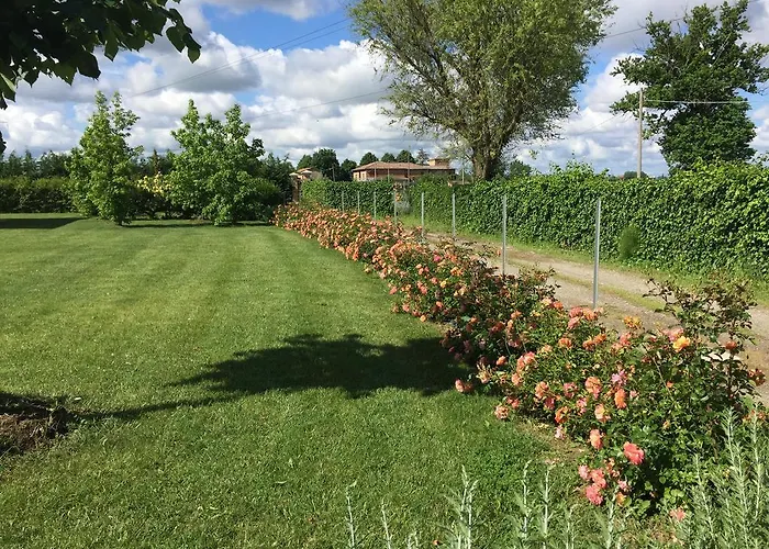 Vigorso 41 Kır Evi *